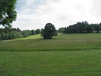 /album/fotogalerie/pohled-na-dominantu-stromu-u-chalupy-jpg/